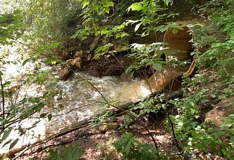 Администрация Автозаводского района Нижнего Новгорода привлечена к ответственности за нарушение Водного кодекса РФ